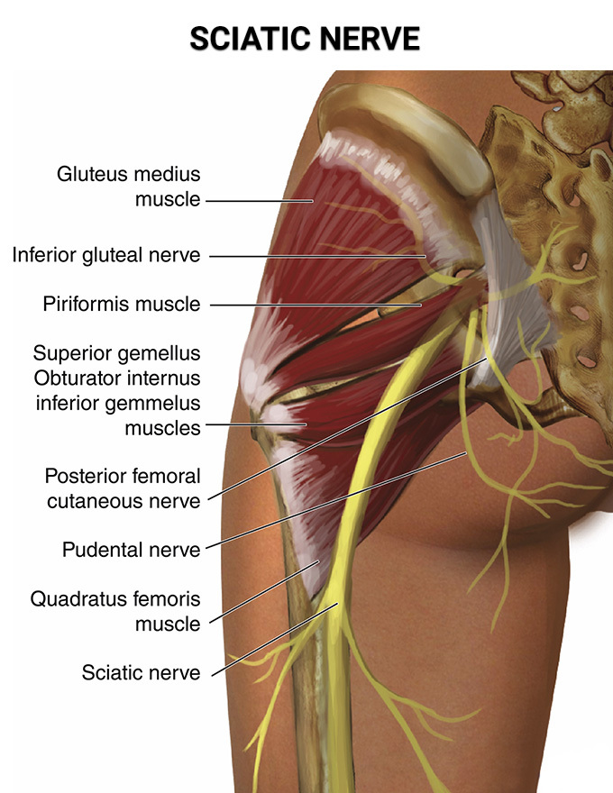 superior gluteal nerve injury