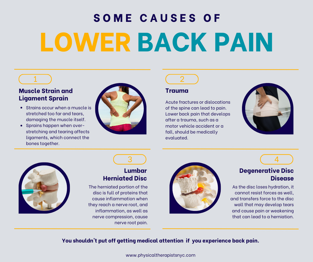 https://www.physicaltherapistsnyc.com/wp-content/uploads/2023/01/Causes-of-Lower-Back-Pain.jpg